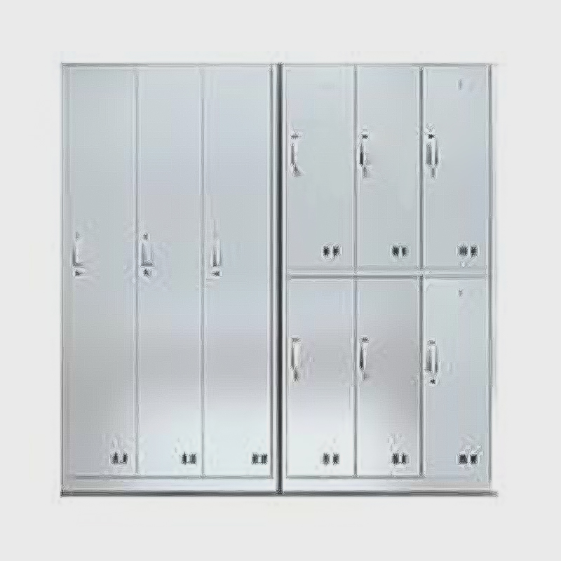 হাসপাতাল স্টেইনলেস স্টিল লকার/জুতা ক্যাবিনেট সিরিজ